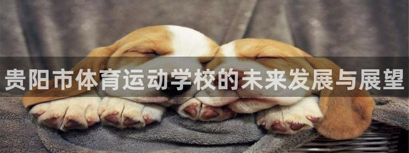 球速体育：贵阳市体育运动学校的未来发展与展望