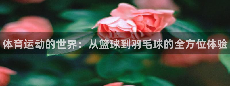 球速体育