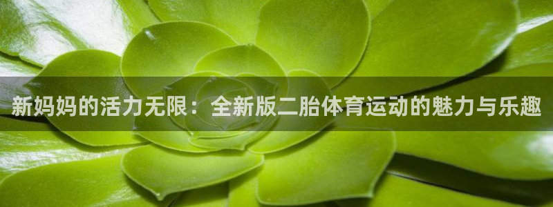 球速体育：新妈妈的活力无限：全新版二胎体育运动的魅力与乐趣