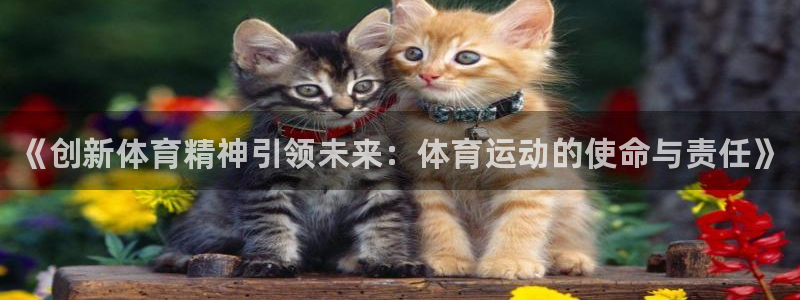 球速体育：《创新体育精神引领未来：体育运动的使命与责任》