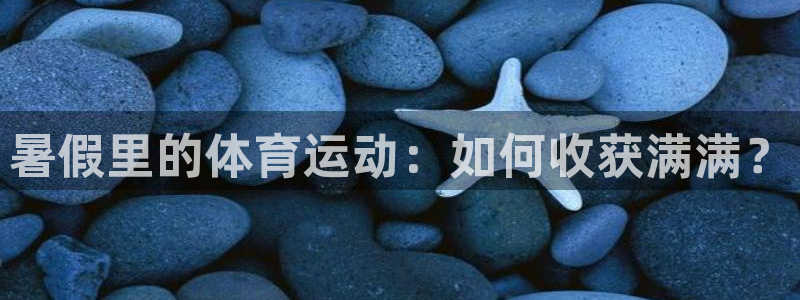 球速体育