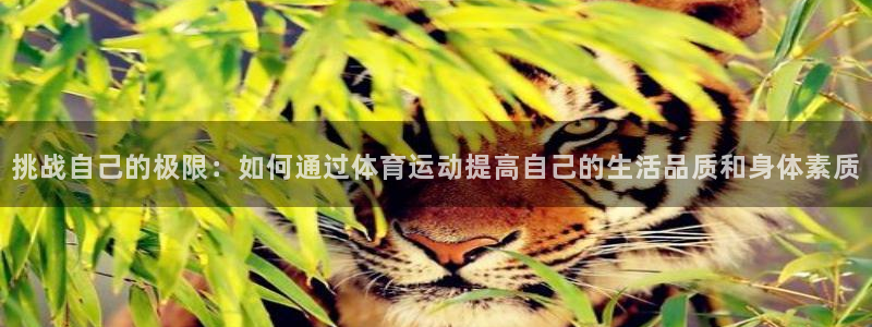 球速体育：挑战自己的极限：如何通过体育运动提高自己的生活品质和身体素质