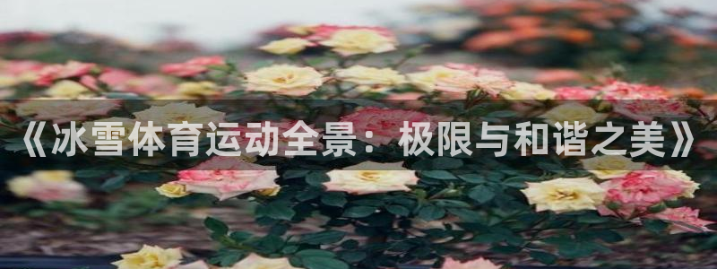 球速体育：《冰雪体育运动全景：极限与和谐之美》