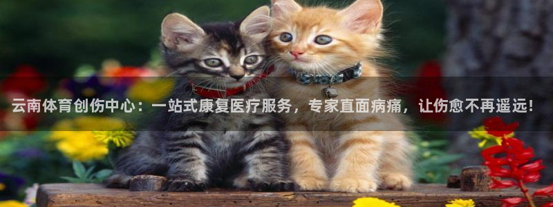 球速体育：云南体育创伤中心：一站式康复医疗服务，专家直面病痛，让伤愈不再遥远！